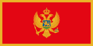 Servizi di traduzione montenegrini