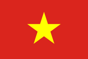 专业越南语翻译服务 – 准确且经过认证 1 越南语翻译服务